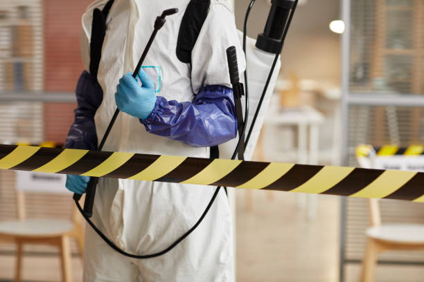 Professional Blood Cleanup technician working in Valley Park, MO